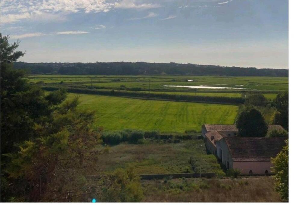 Casinha Do Rio Villa Soure Dış mekan fotoğraf