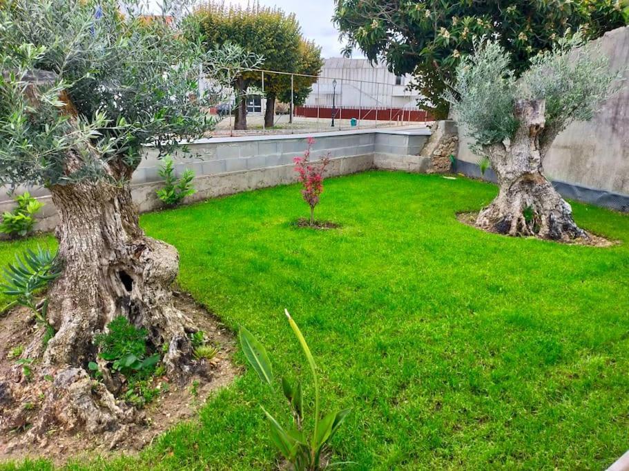 Casinha Do Rio Villa Soure Dış mekan fotoğraf